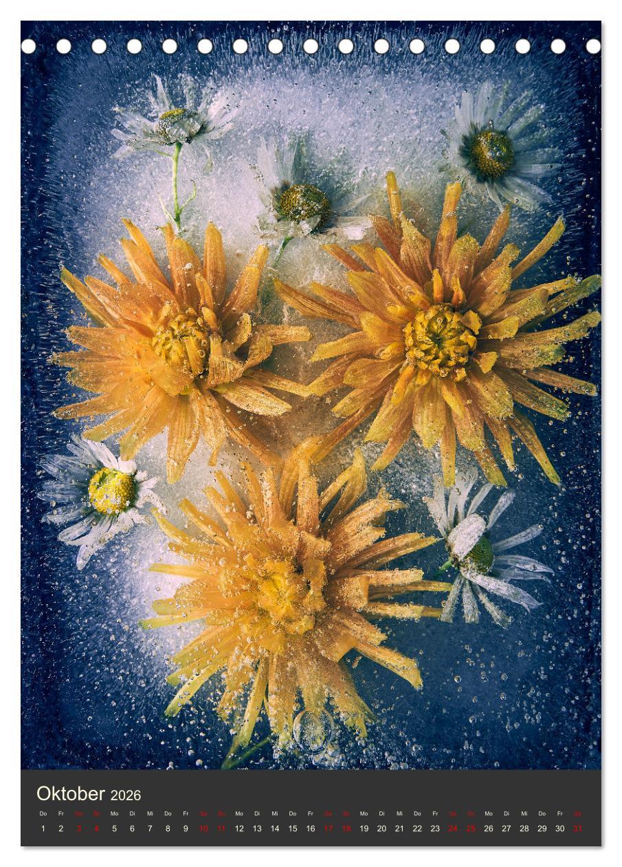 Beispielinhalt (Bild) Magische Eisblumen (Tischkalender 2026 DIN A5 hoch), CALVENDO Monatskalender