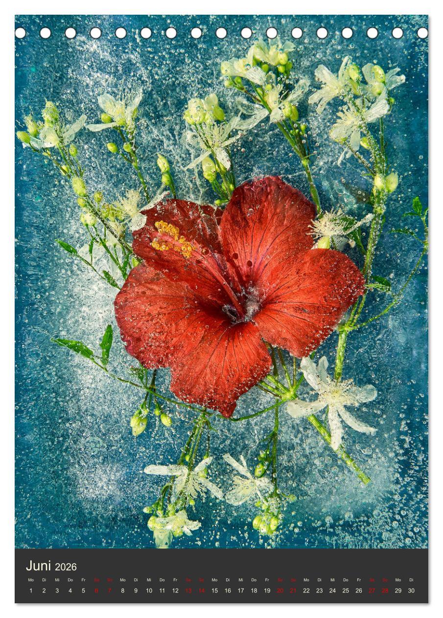 Beispielinhalt (Bild) Magische Eisblumen (Tischkalender 2026 DIN A5 hoch), CALVENDO Monatskalender