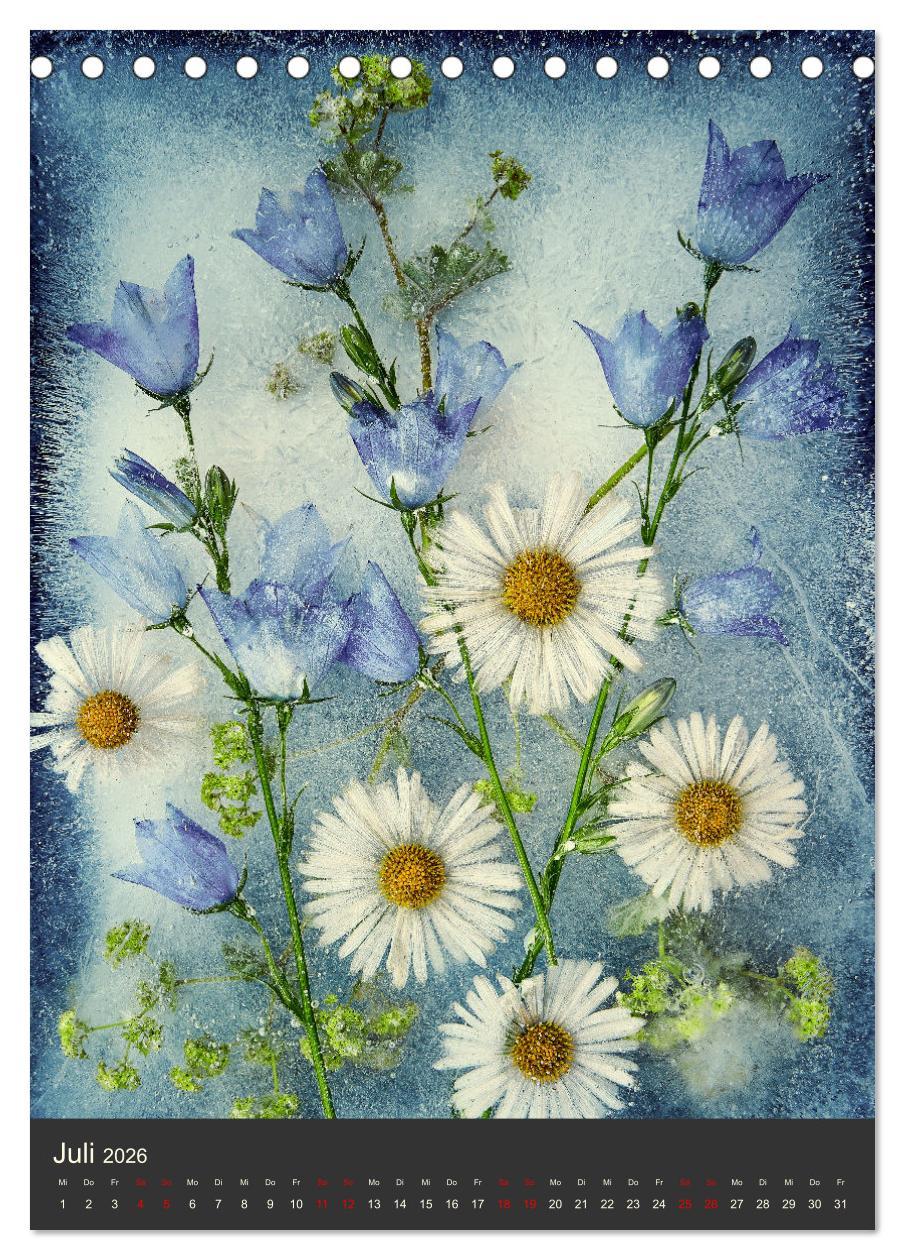 Beispielinhalt (Bild) Magische Eisblumen (Tischkalender 2026 DIN A5 hoch), CALVENDO Monatskalender