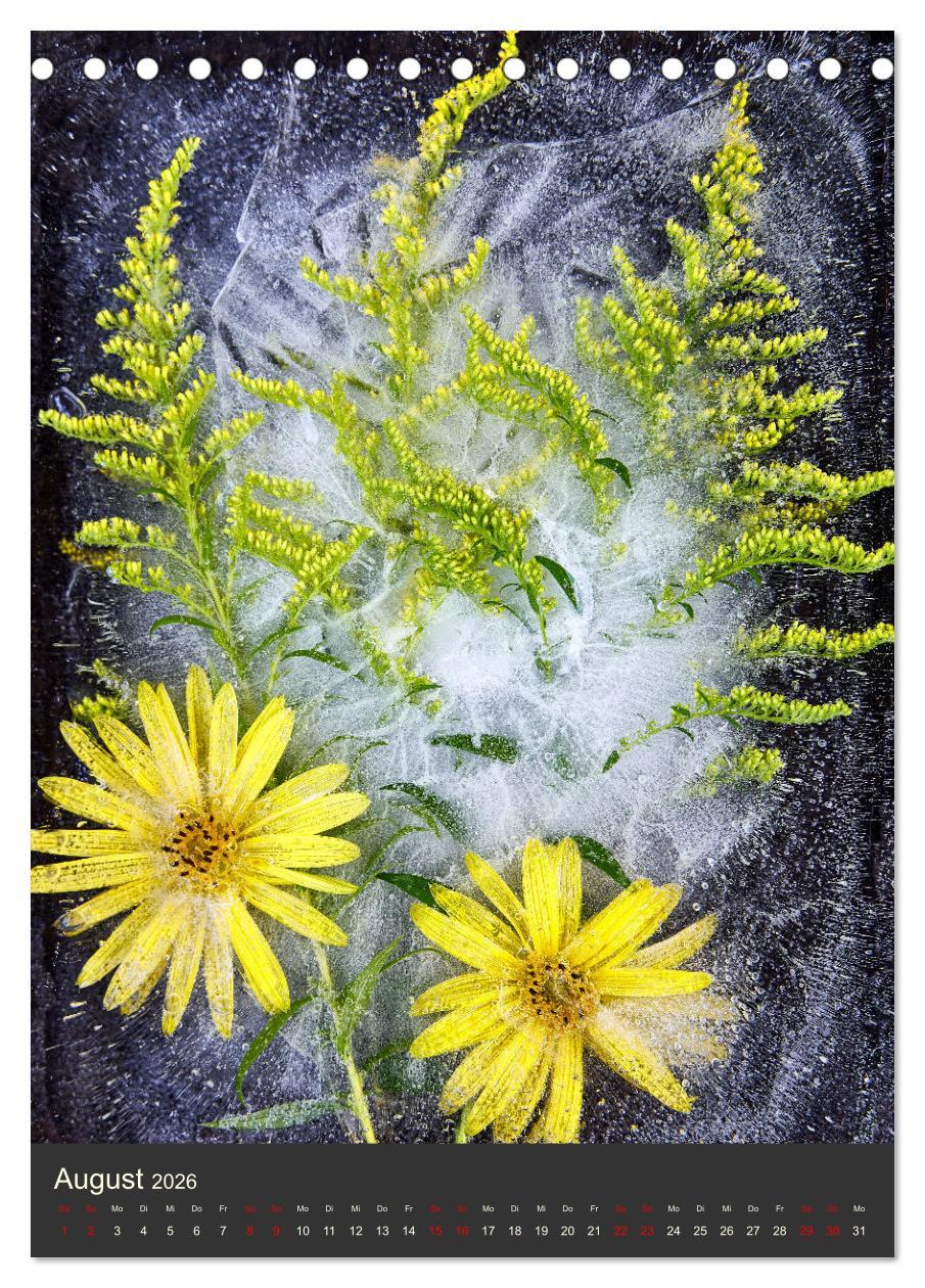 Beispielinhalt (Bild) Magische Eisblumen (Tischkalender 2026 DIN A5 hoch), CALVENDO Monatskalender