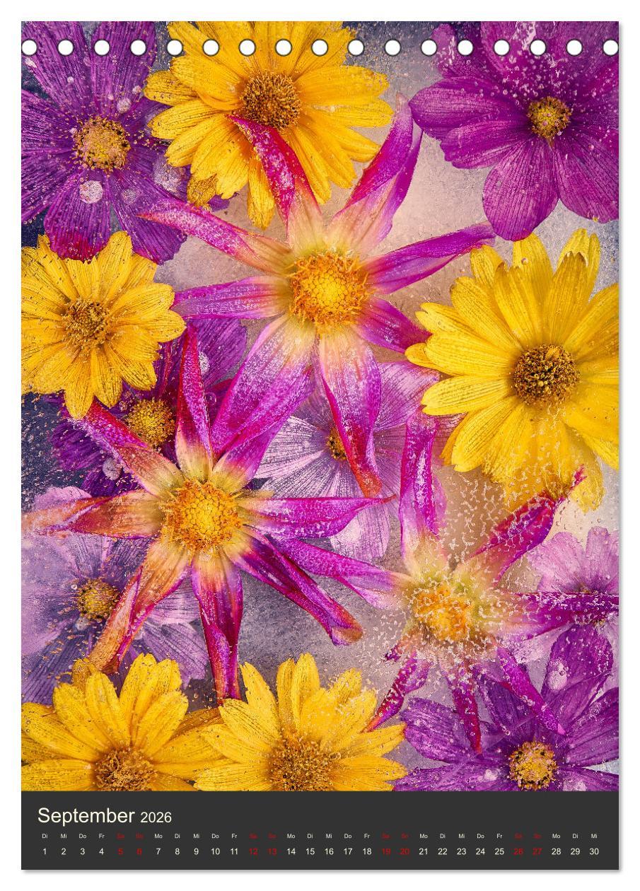 Beispielinhalt (Bild) Magische Eisblumen (Tischkalender 2026 DIN A5 hoch), CALVENDO Monatskalender