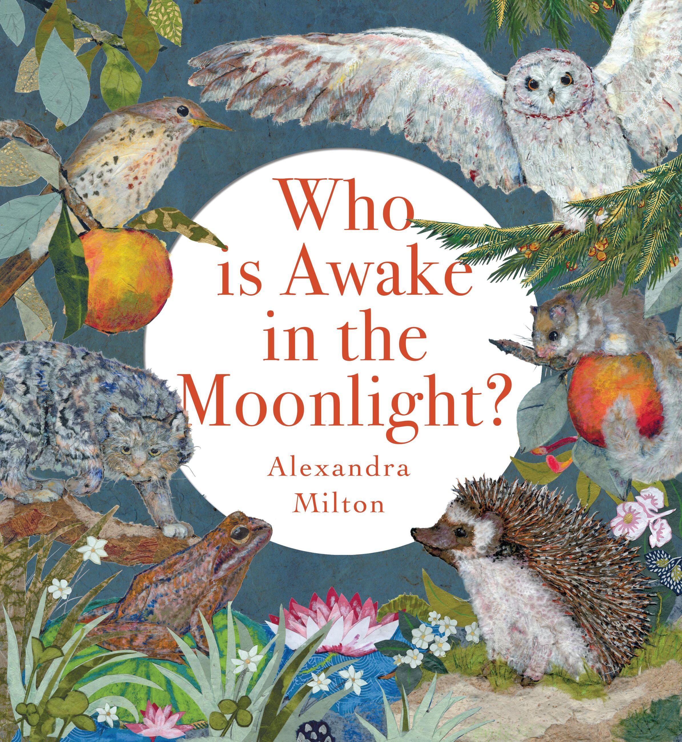 Vorderes Coverbild Who Is Awake in the Moonlight?