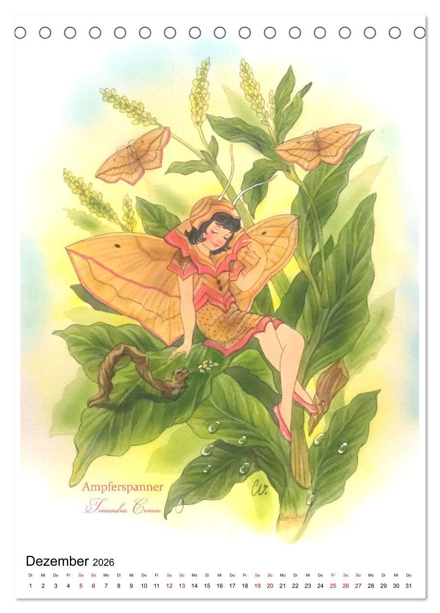 Beispielinhalt (Bild) Schmetterlings-Elfen (Tischkalender 2026 DIN A5 hoch), CALVENDO Monatskalender