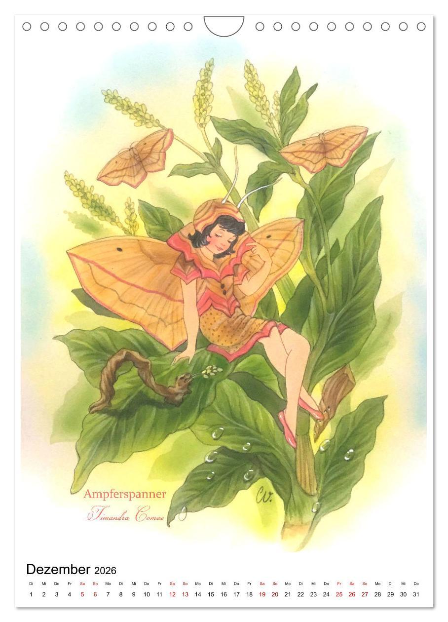 Beispielinhalt (Bild) Schmetterlings-Elfen (Wandkalender 2026 DIN A4 hoch), CALVENDO Monatskalender