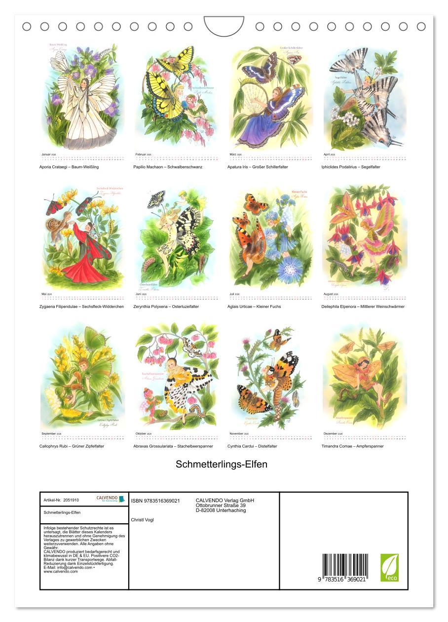 Beispielinhalt (Bild) Schmetterlings-Elfen (Wandkalender 2026 DIN A4 hoch), CALVENDO Monatskalender