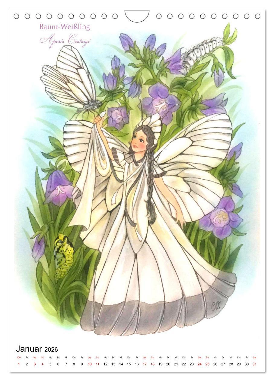 Beispielinhalt (Bild) Schmetterlings-Elfen (Wandkalender 2026 DIN A4 hoch), CALVENDO Monatskalender