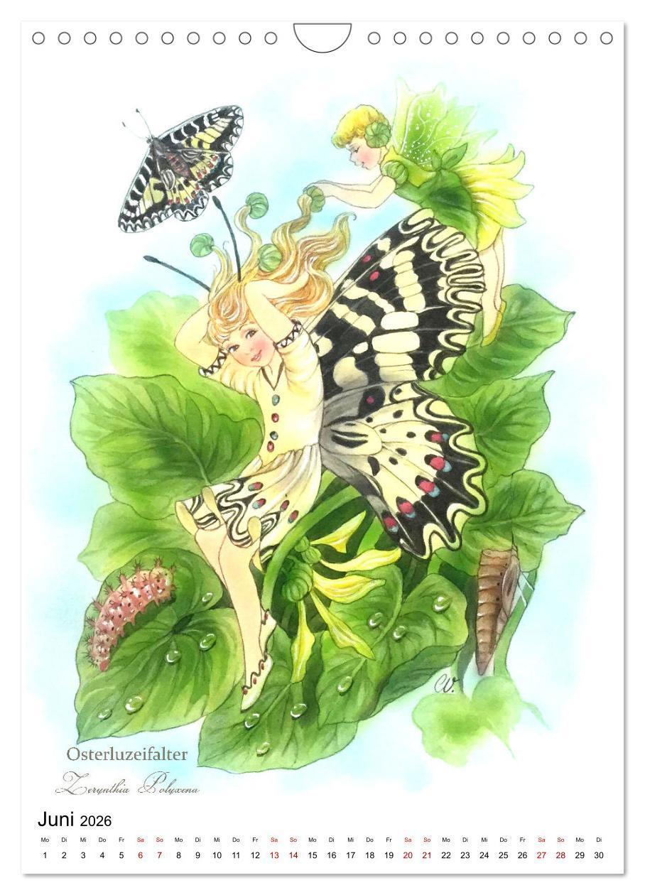 Beispielinhalt (Bild) Schmetterlings-Elfen (Wandkalender 2026 DIN A4 hoch), CALVENDO Monatskalender