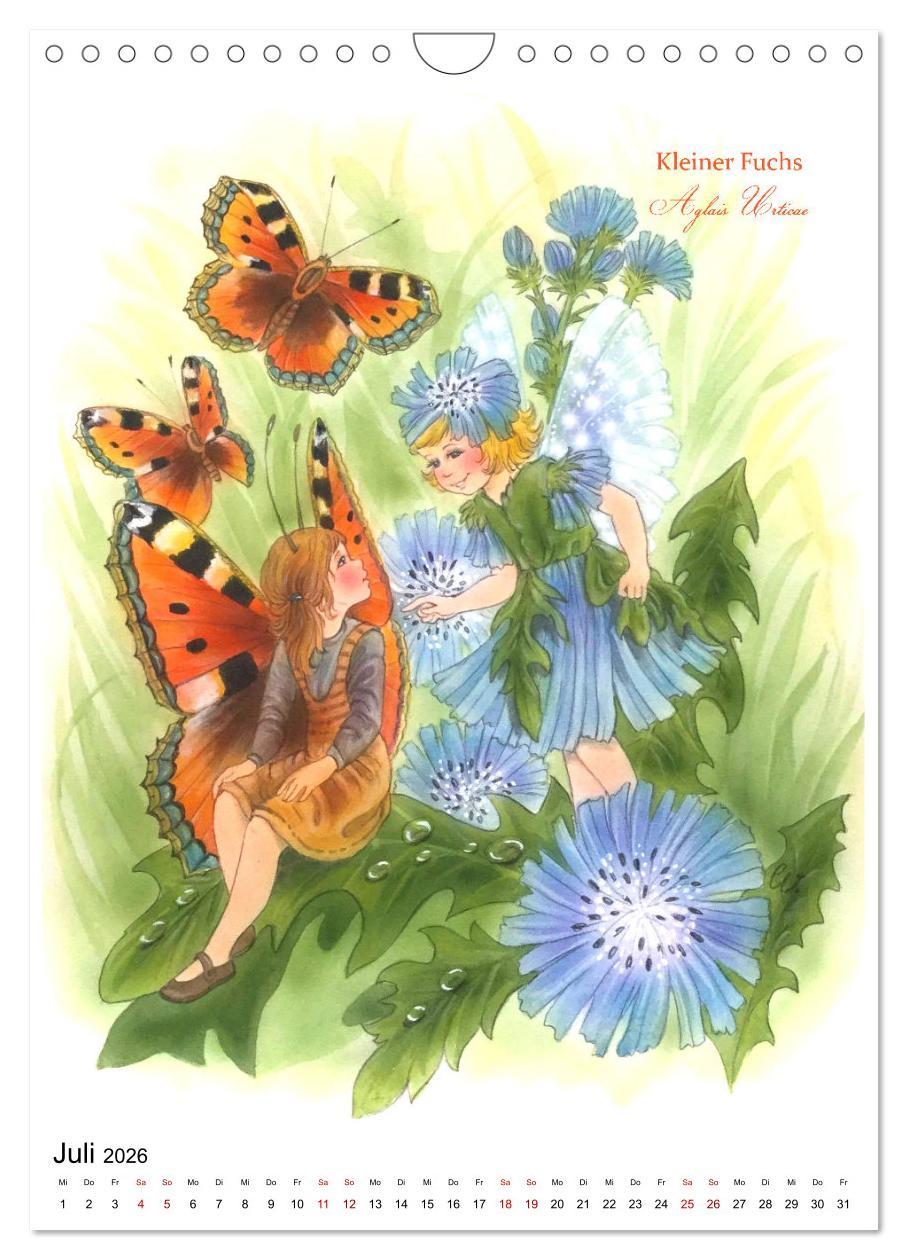 Beispielinhalt (Bild) Schmetterlings-Elfen (Wandkalender 2026 DIN A4 hoch), CALVENDO Monatskalender