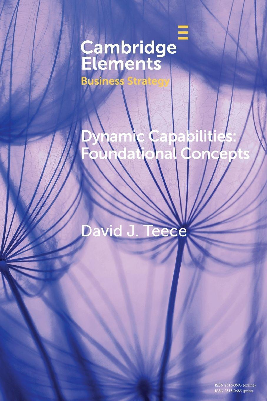 Vorderes Coverbild Dynamic Capabilities