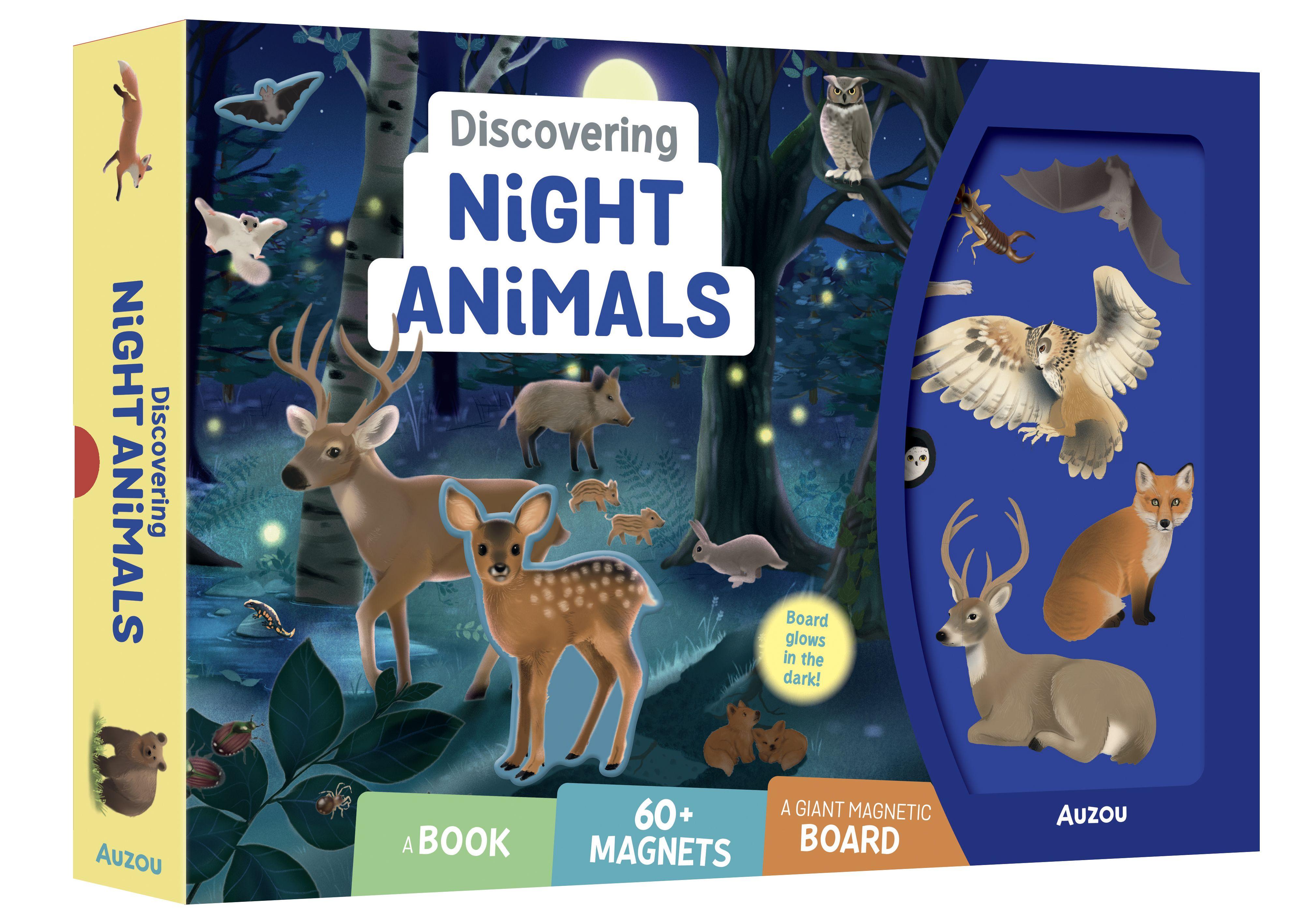 Vorderes Coverbild Discovering Night Animals