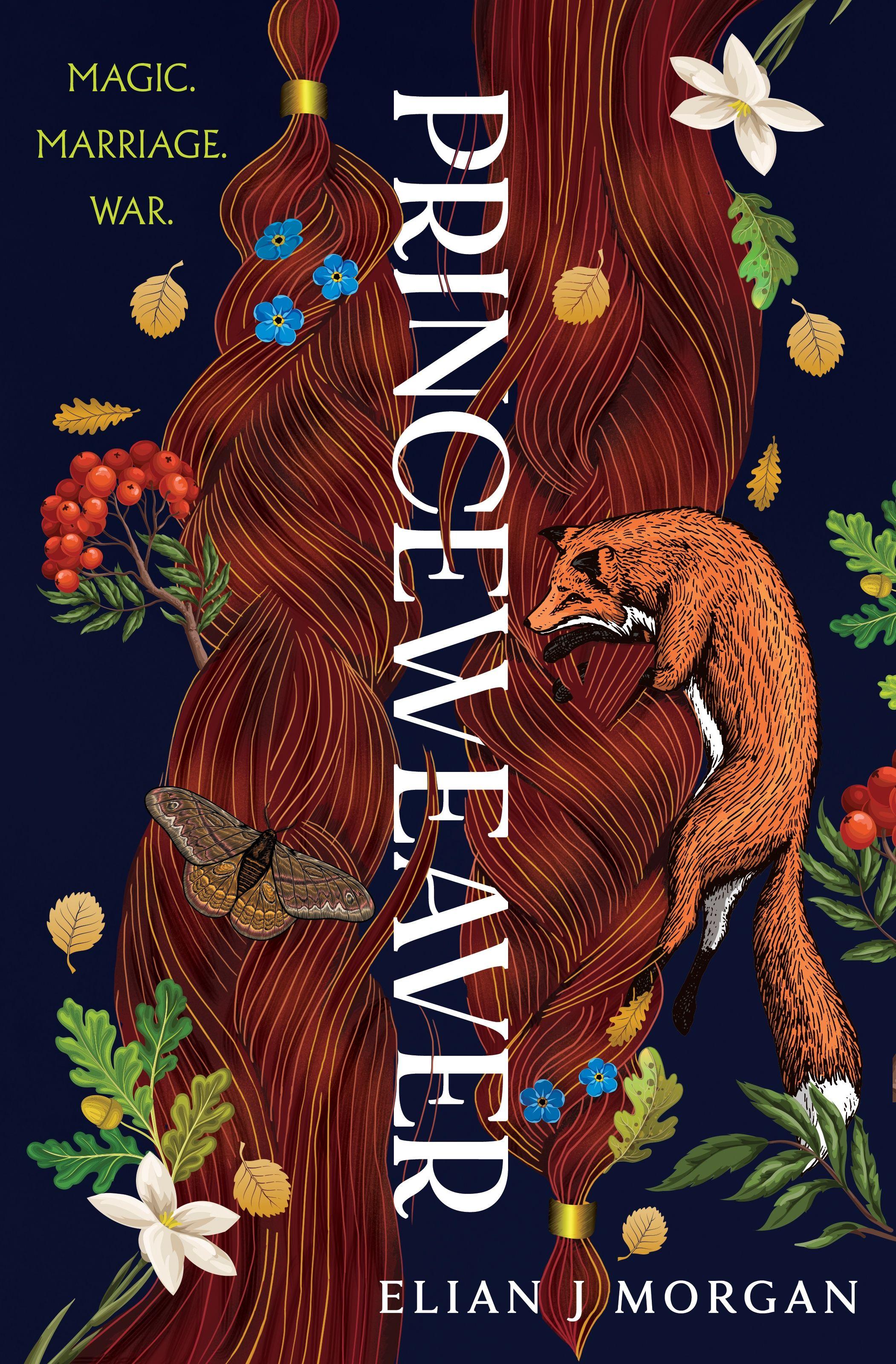 Vorderes Coverbild Princeweaver