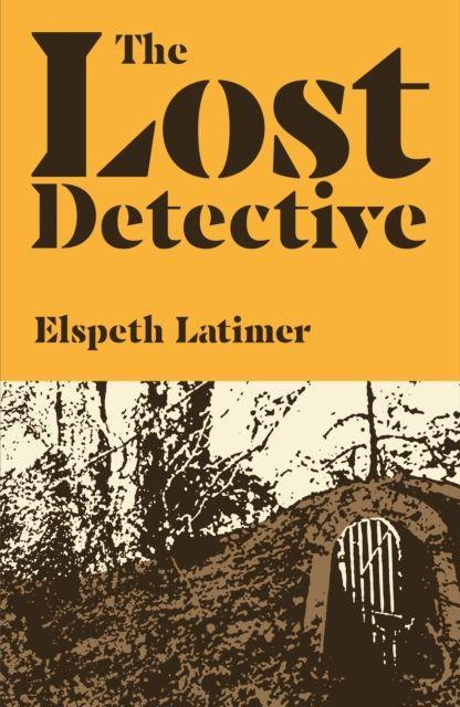 Vorderes Coverbild The Lost Detective