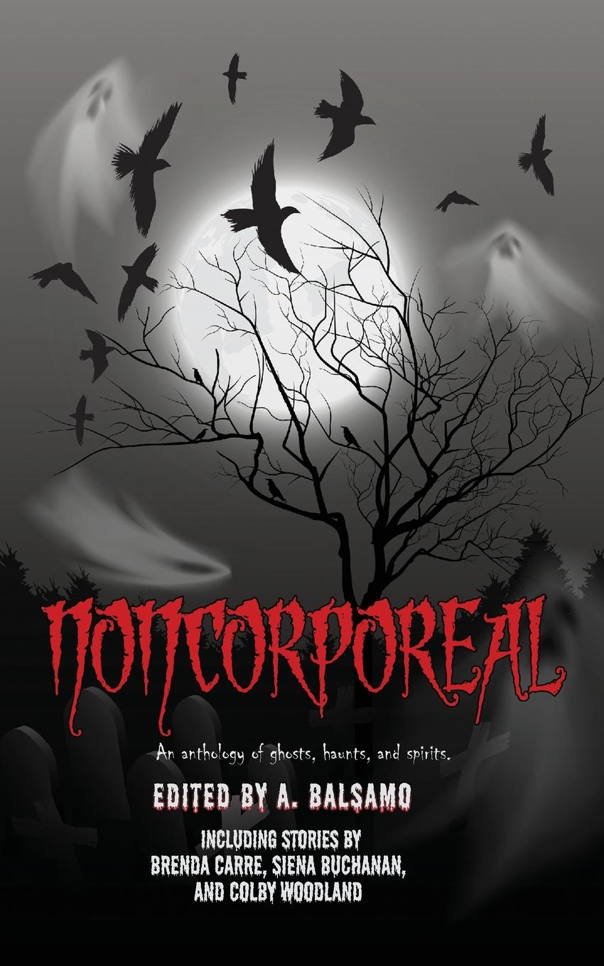 Vorderes Coverbild Noncorporeal