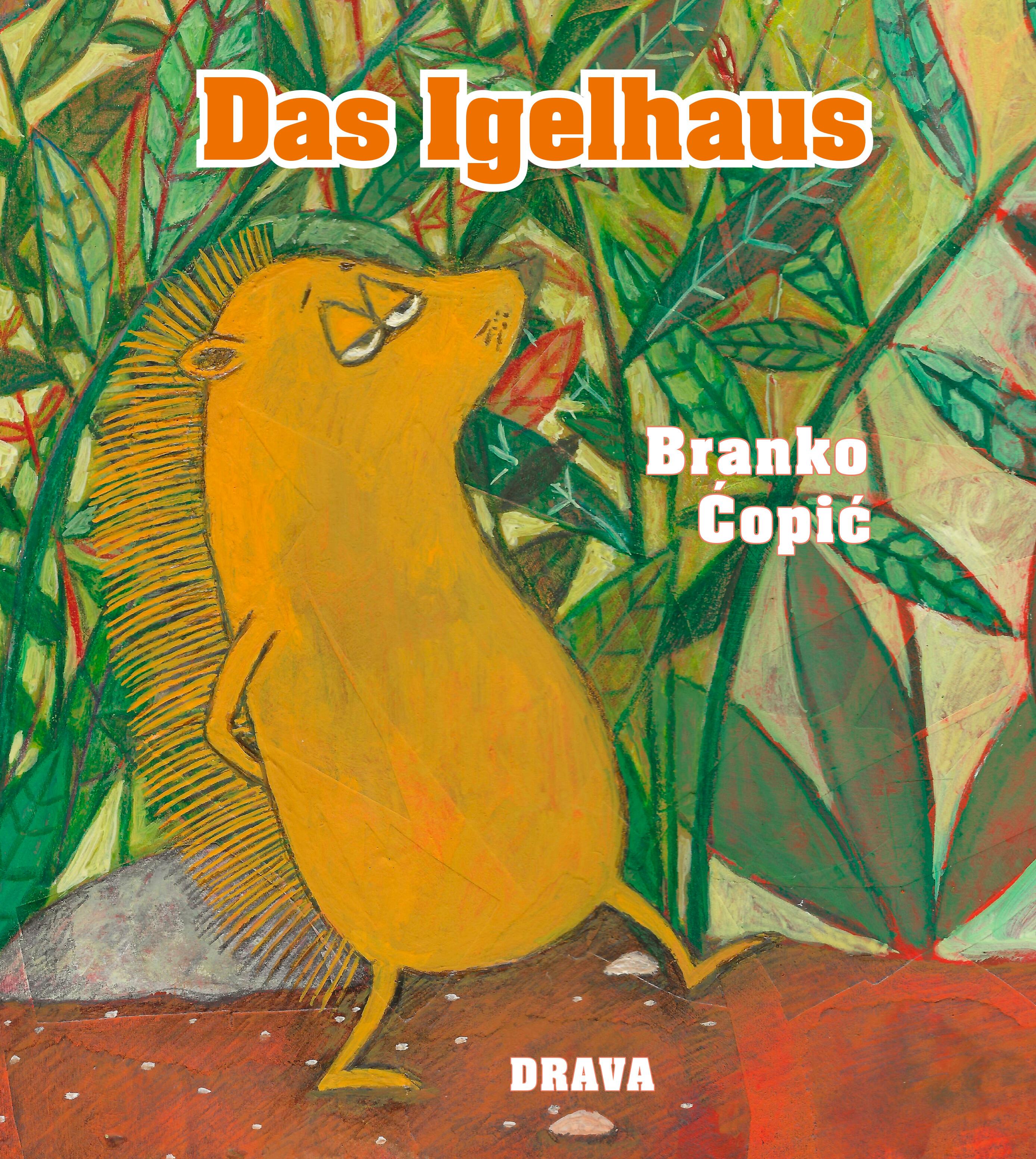 Vorderes Coverbild Das Igelhaus