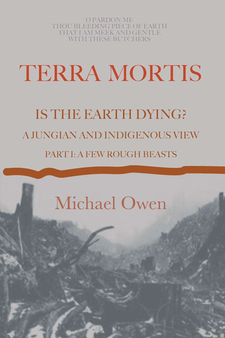 Vorderes Coverbild Terra Mortis