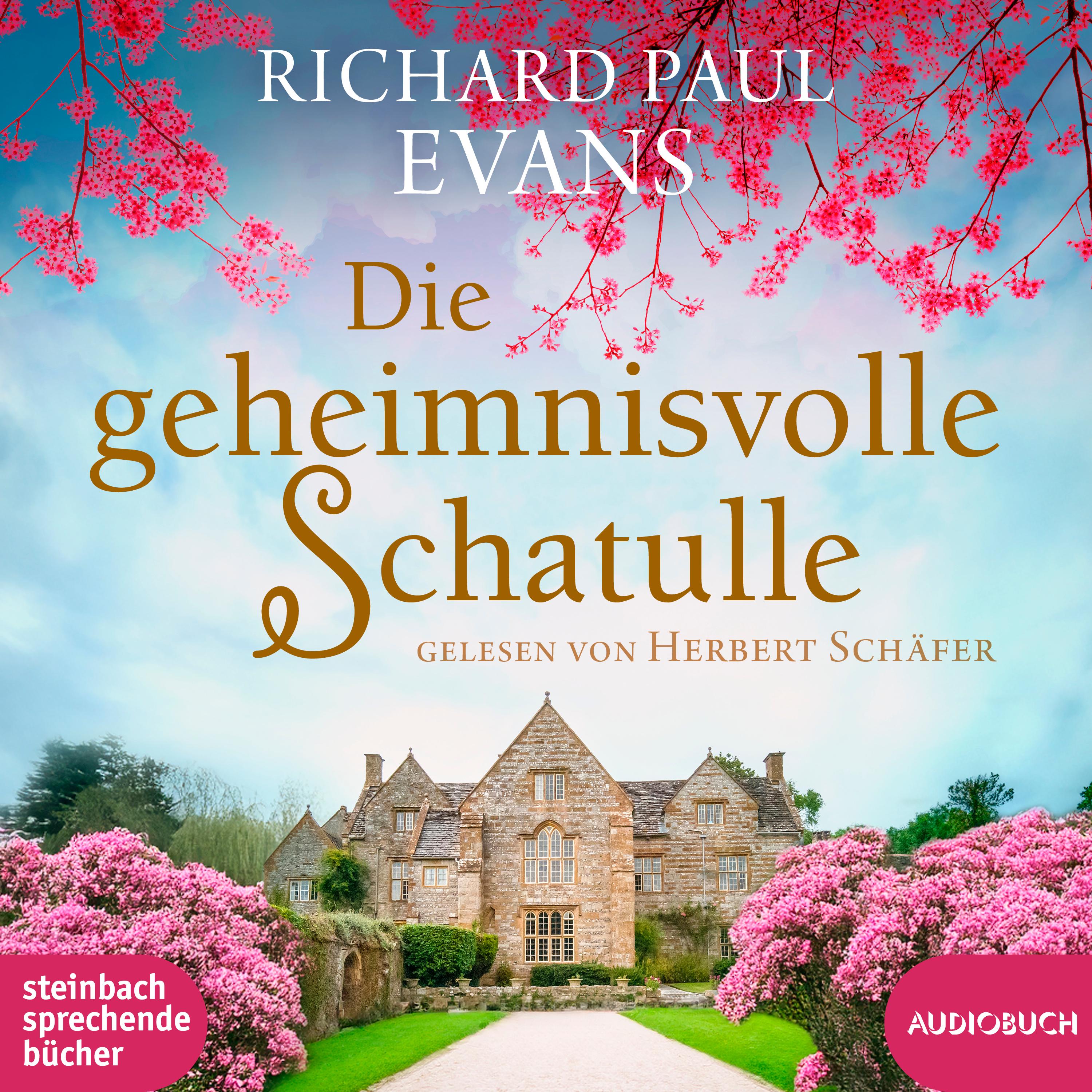 Vorderes Coverbild Die geheimnisvolle Schatulle