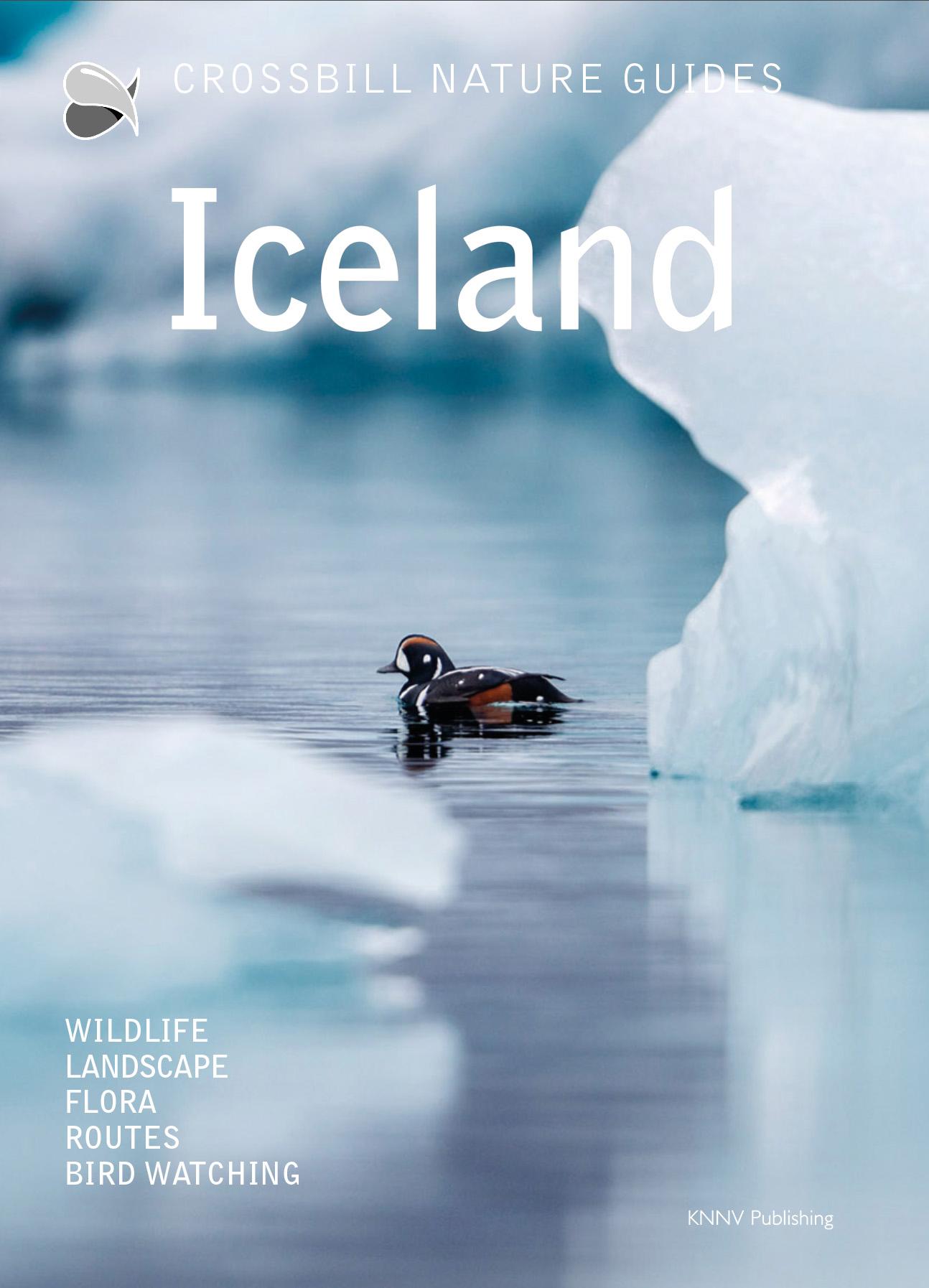 Vorderes Coverbild Iceland