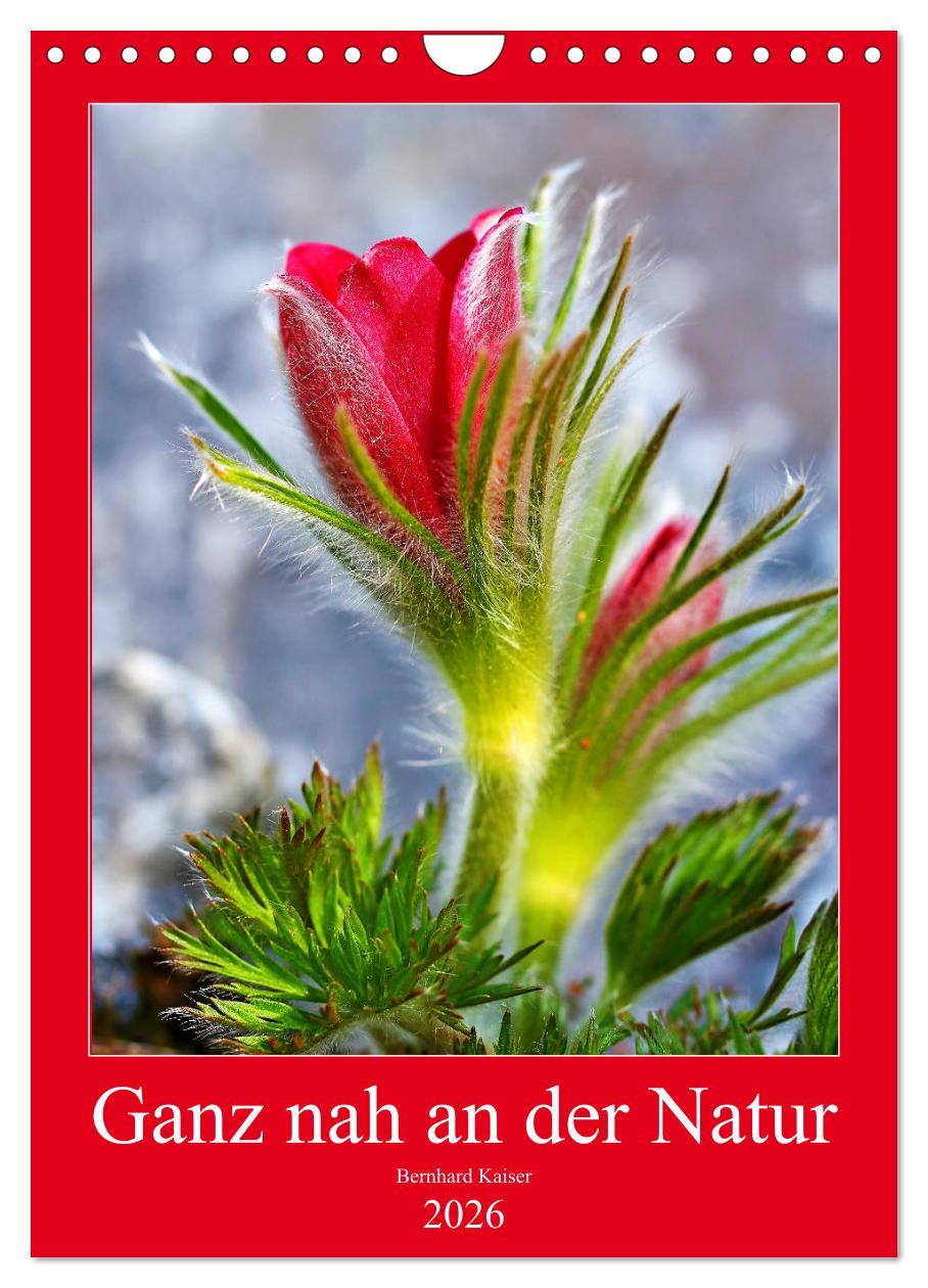 Vorderes Coverbild Ganz nah an der Natur (Wandkalender 2026 DIN A4 hoch), CALVENDO Monatskalender