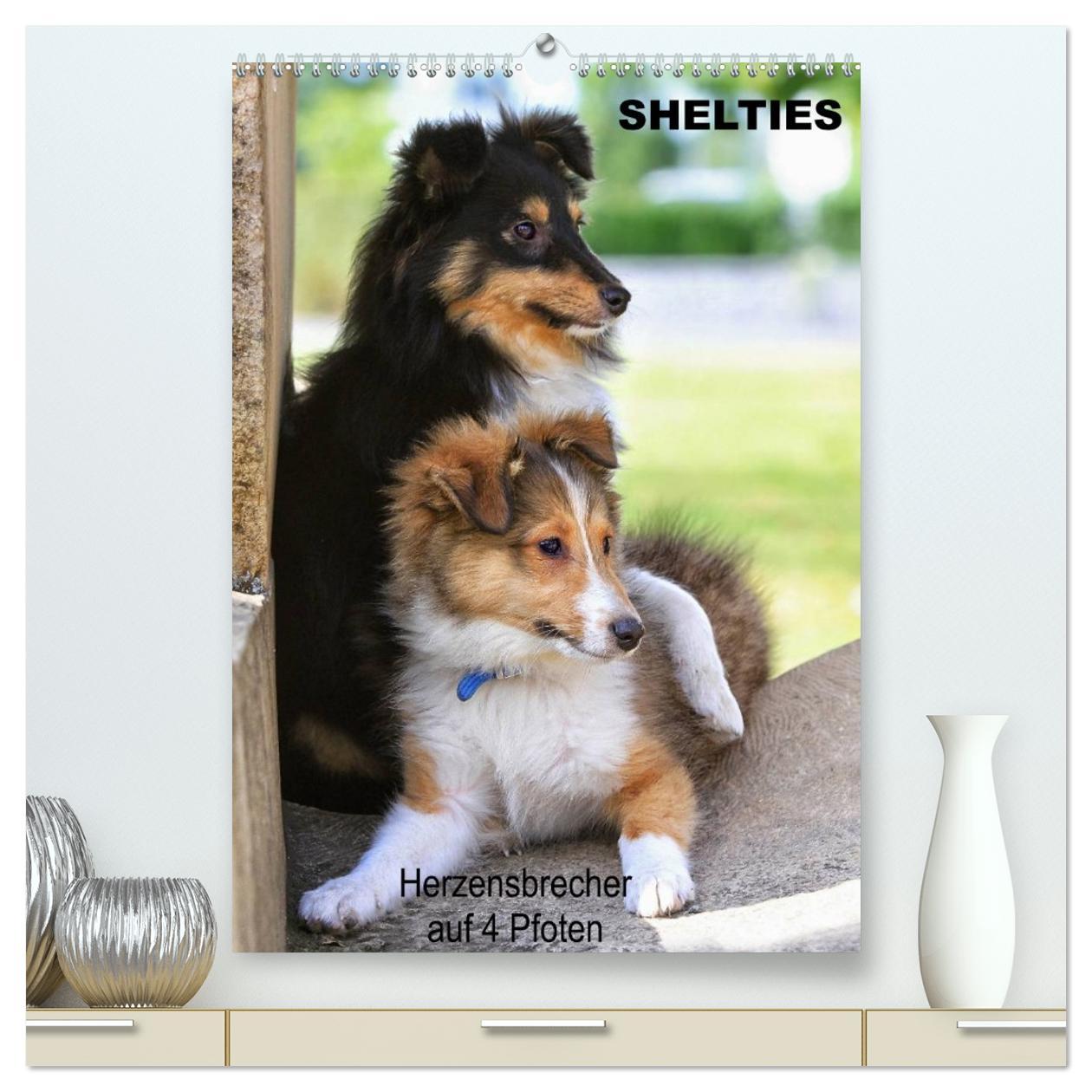 Vorderes Coverbild SHELTIES Herzensbrecher auf 4 Pfoten (hochwertiger Premium Wandkalender 2026 DIN A2 hoch), Kunstdruck in Hochglanz
