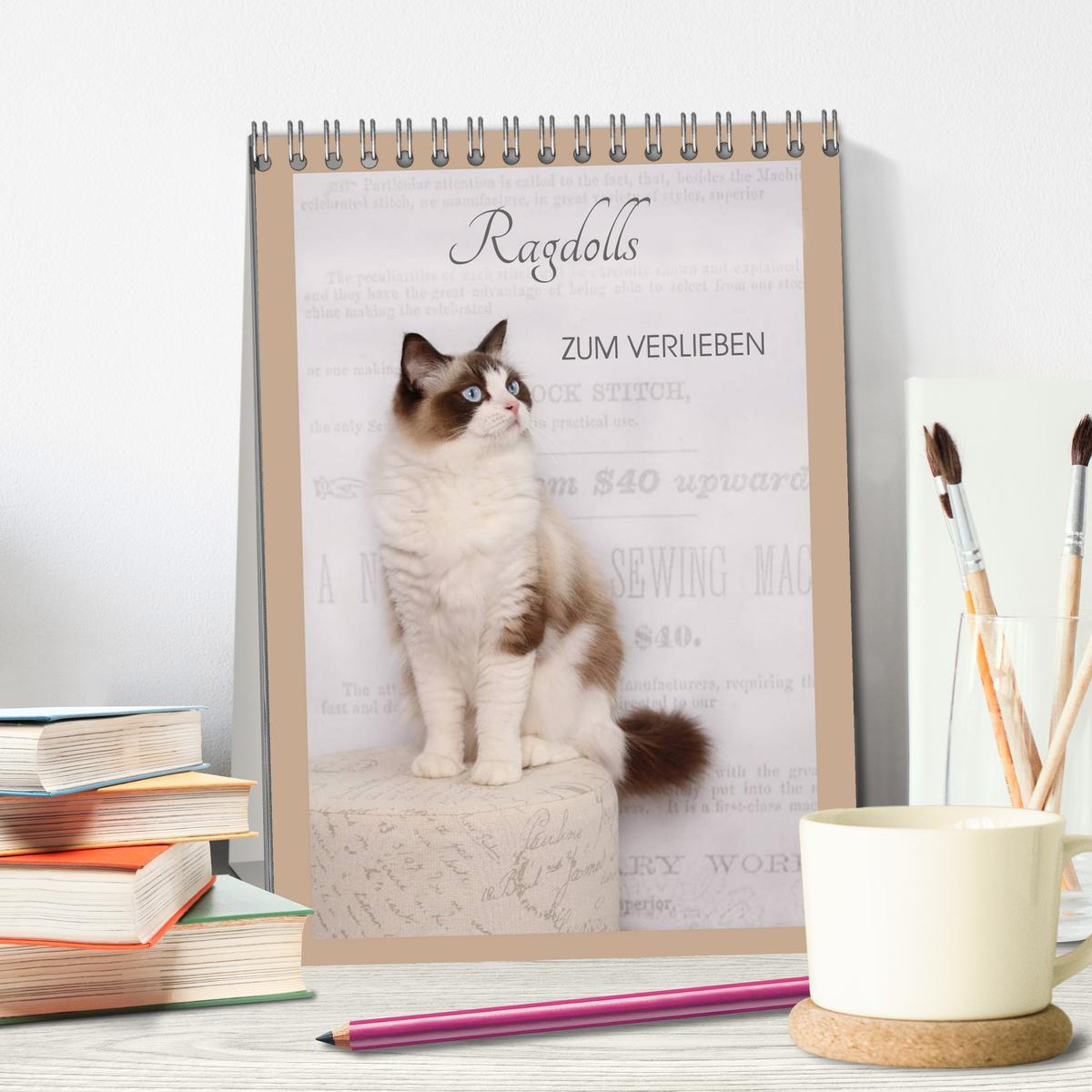 Beispielinhalt (Bild) Ragdolls zum Verlieben (Tischkalender 2026 DIN A5 hoch), CALVENDO Monatskalender