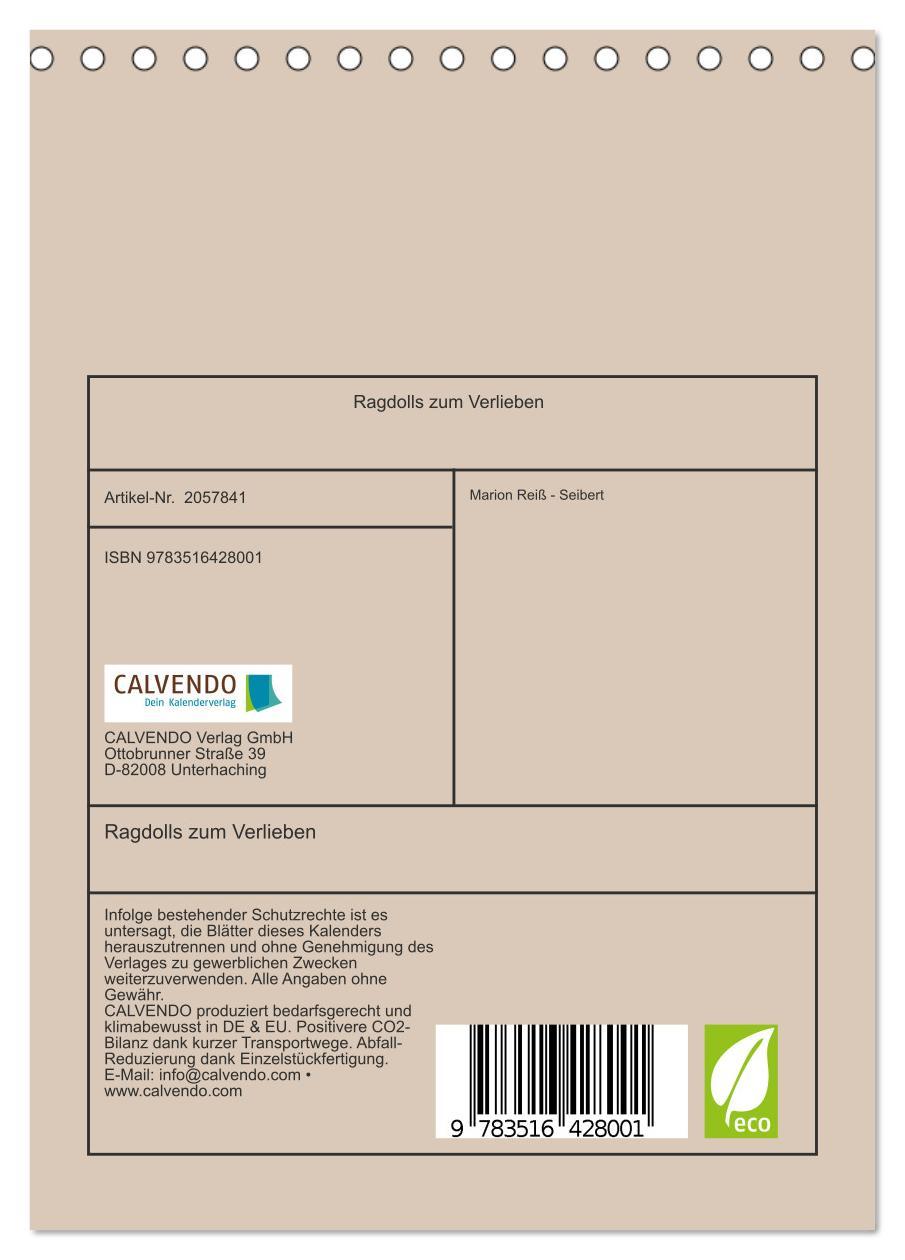 Beispielinhalt (Bild) Ragdolls zum Verlieben (Tischkalender 2026 DIN A5 hoch), CALVENDO Monatskalender