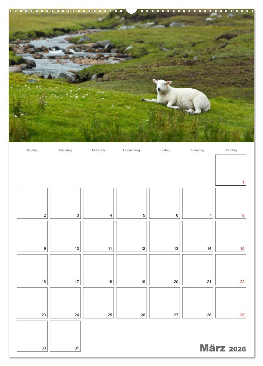 Beispielinhalt (Bild) Schottland für Naturliebhaber (Wandkalender 2026 DIN A2 hoch), CALVENDO Monatskalender