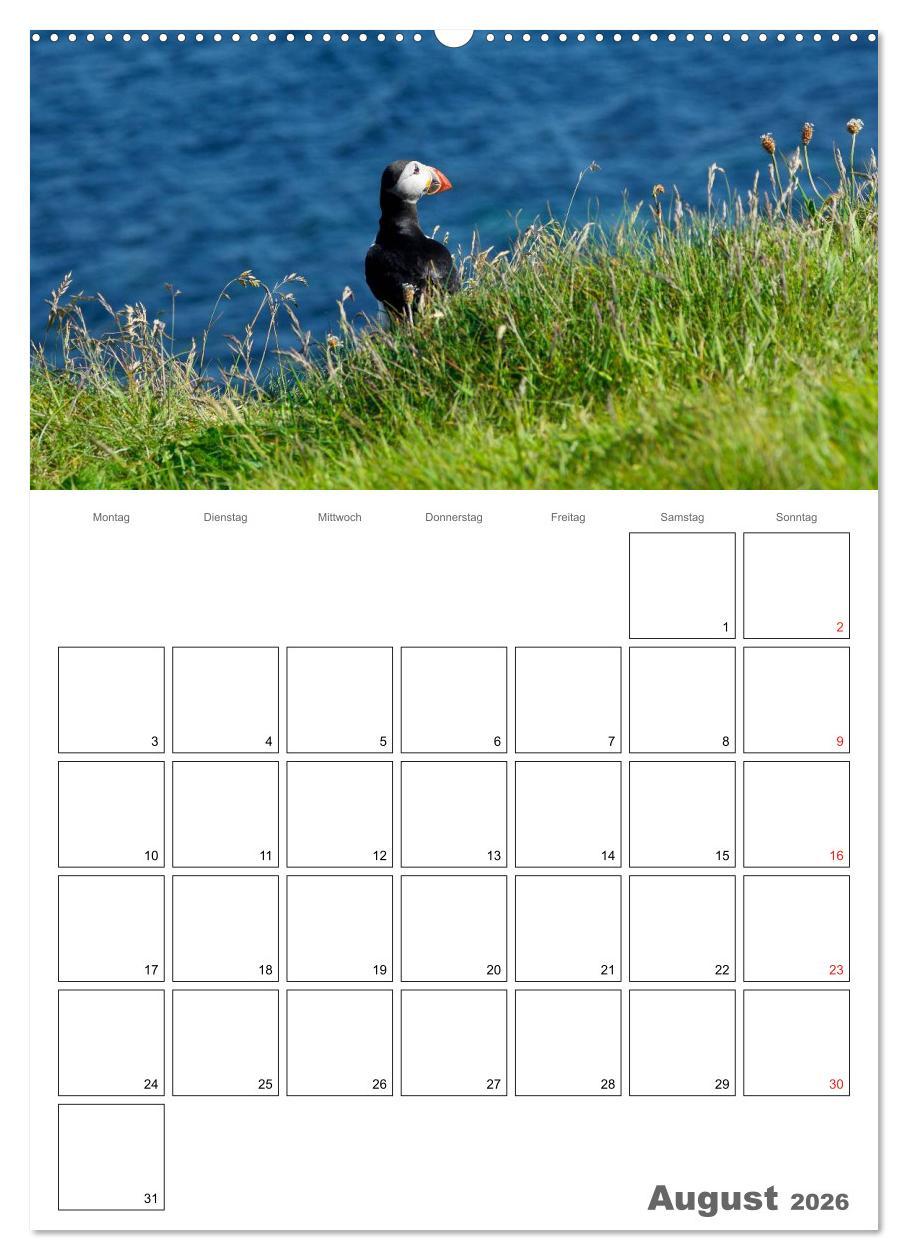 Beispielinhalt (Bild) Schottland für Naturliebhaber (Wandkalender 2026 DIN A2 hoch), CALVENDO Monatskalender