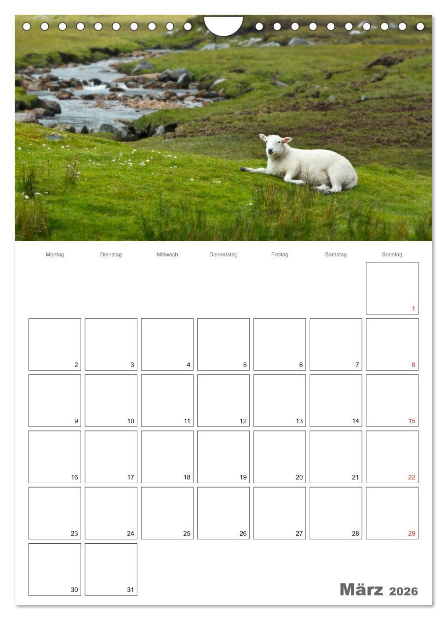 Beispielinhalt (Bild) Schottland für Naturliebhaber (Wandkalender 2026 DIN A4 hoch), CALVENDO Monatskalender