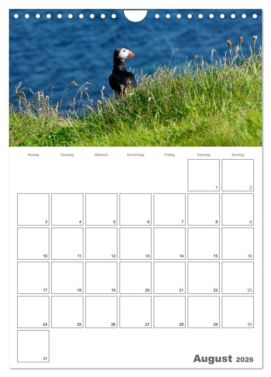Beispielinhalt (Bild) Schottland für Naturliebhaber (Wandkalender 2026 DIN A4 hoch), CALVENDO Monatskalender