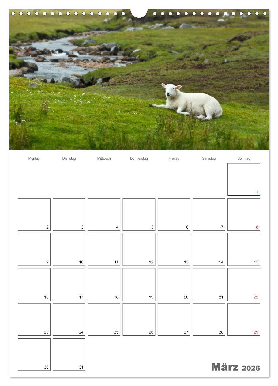 Beispielinhalt (Bild) Schottland für Naturliebhaber (Wandkalender 2026 DIN A3 hoch), CALVENDO Monatskalender