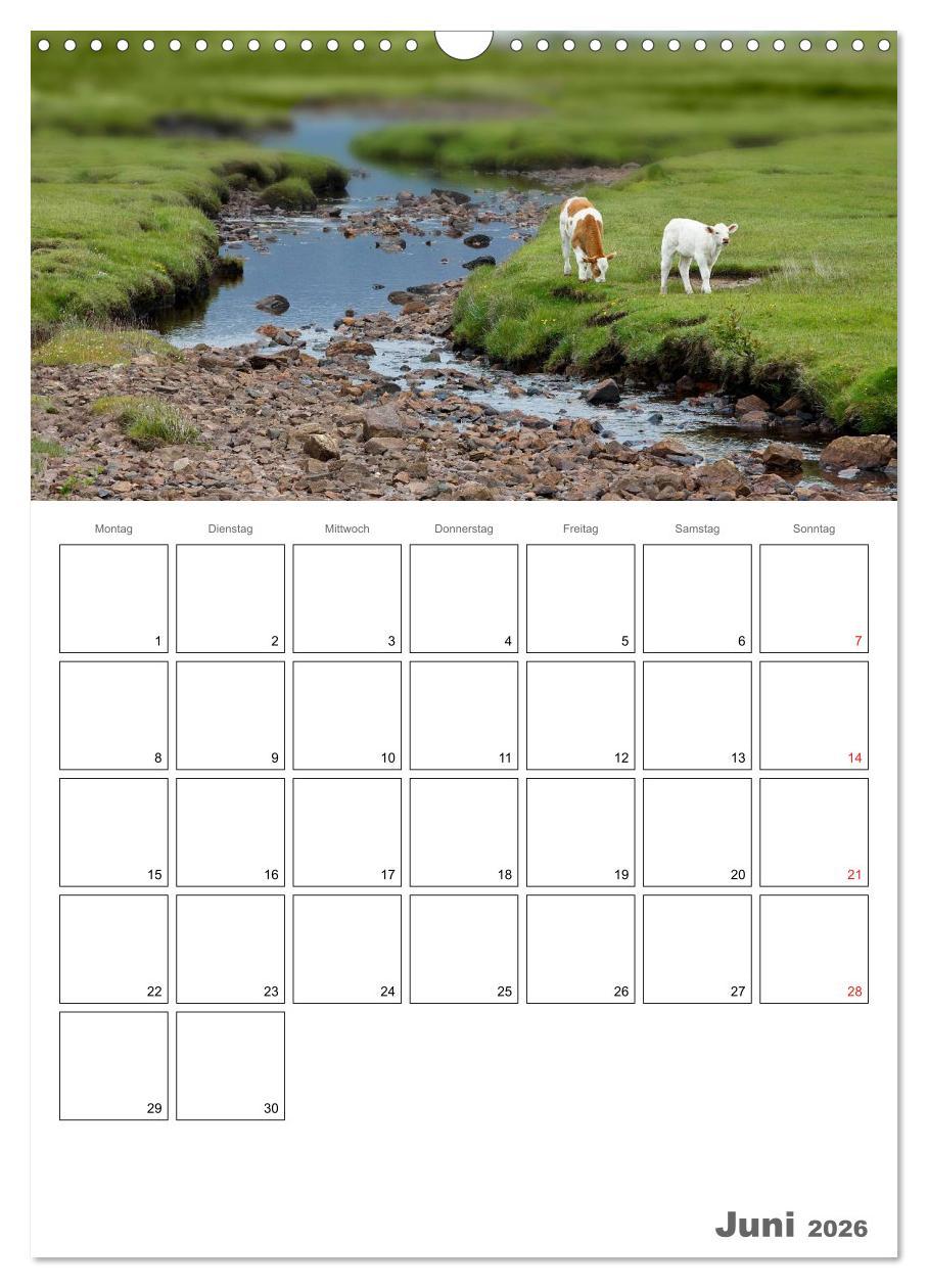 Beispielinhalt (Bild) Schottland für Naturliebhaber (Wandkalender 2026 DIN A3 hoch), CALVENDO Monatskalender