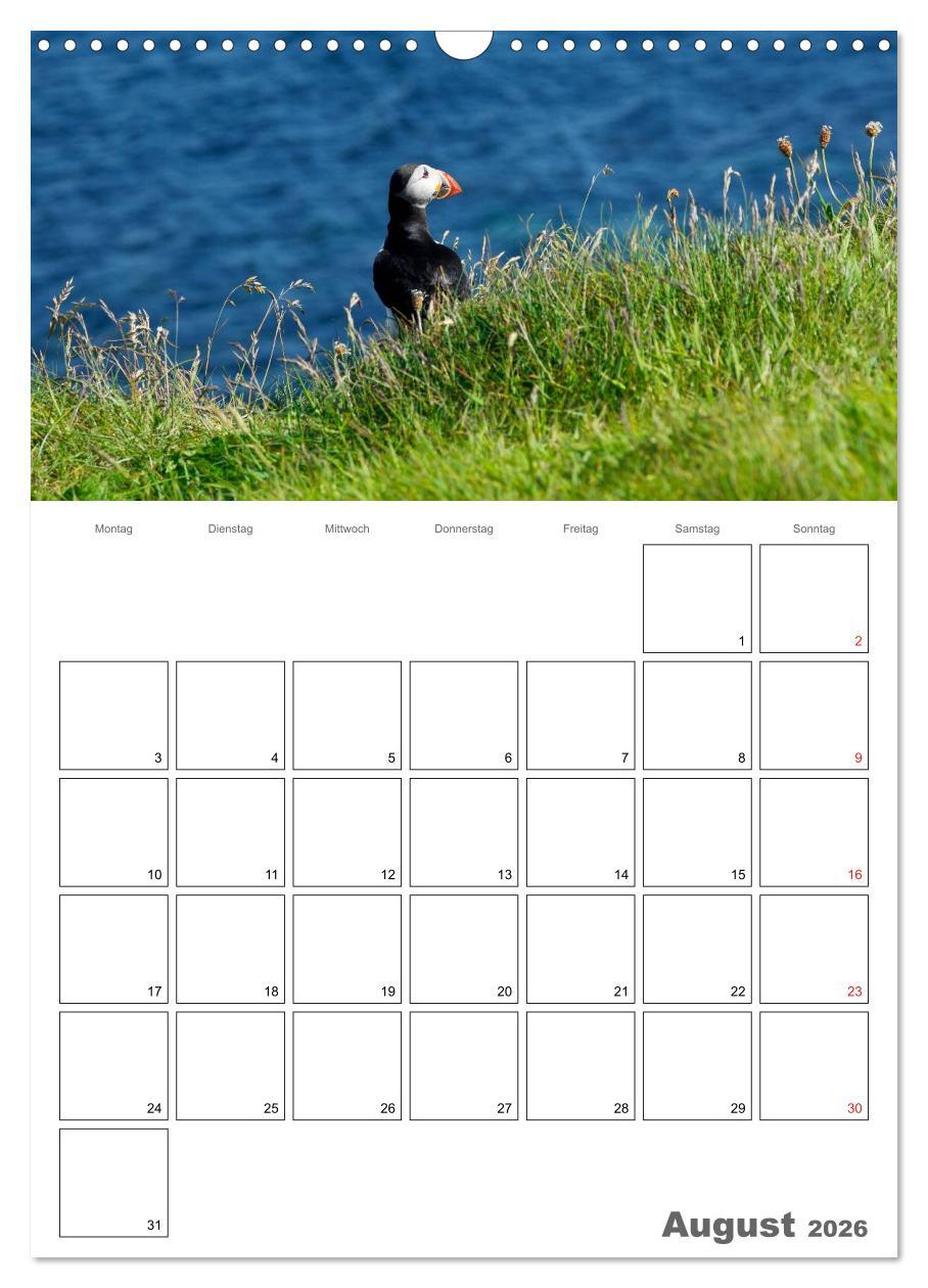 Beispielinhalt (Bild) Schottland für Naturliebhaber (Wandkalender 2026 DIN A3 hoch), CALVENDO Monatskalender