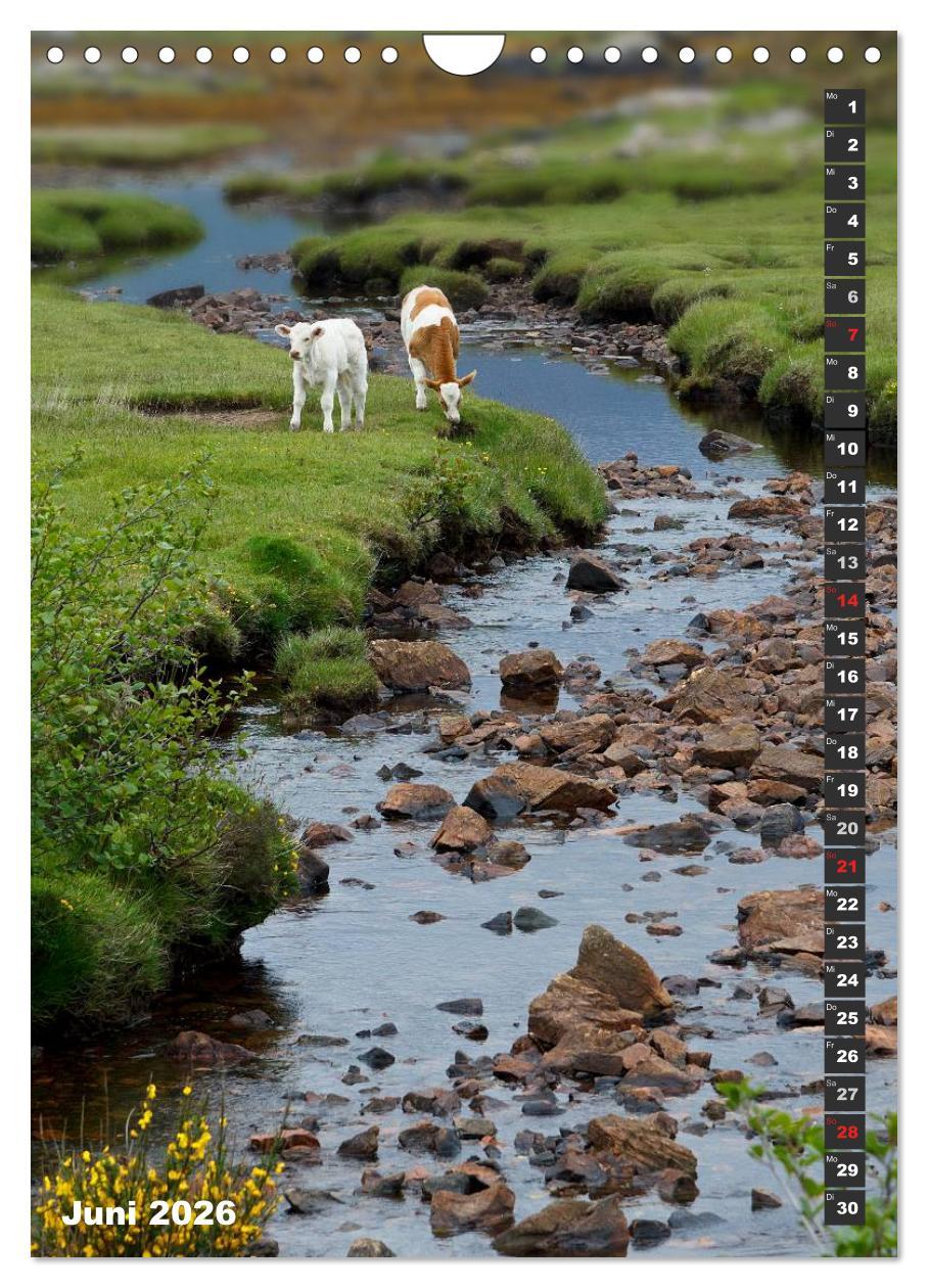 Beispielinhalt (Bild) Schottlands vielfältiger Westen (Wandkalender 2026 DIN A4 hoch), CALVENDO Monatskalender