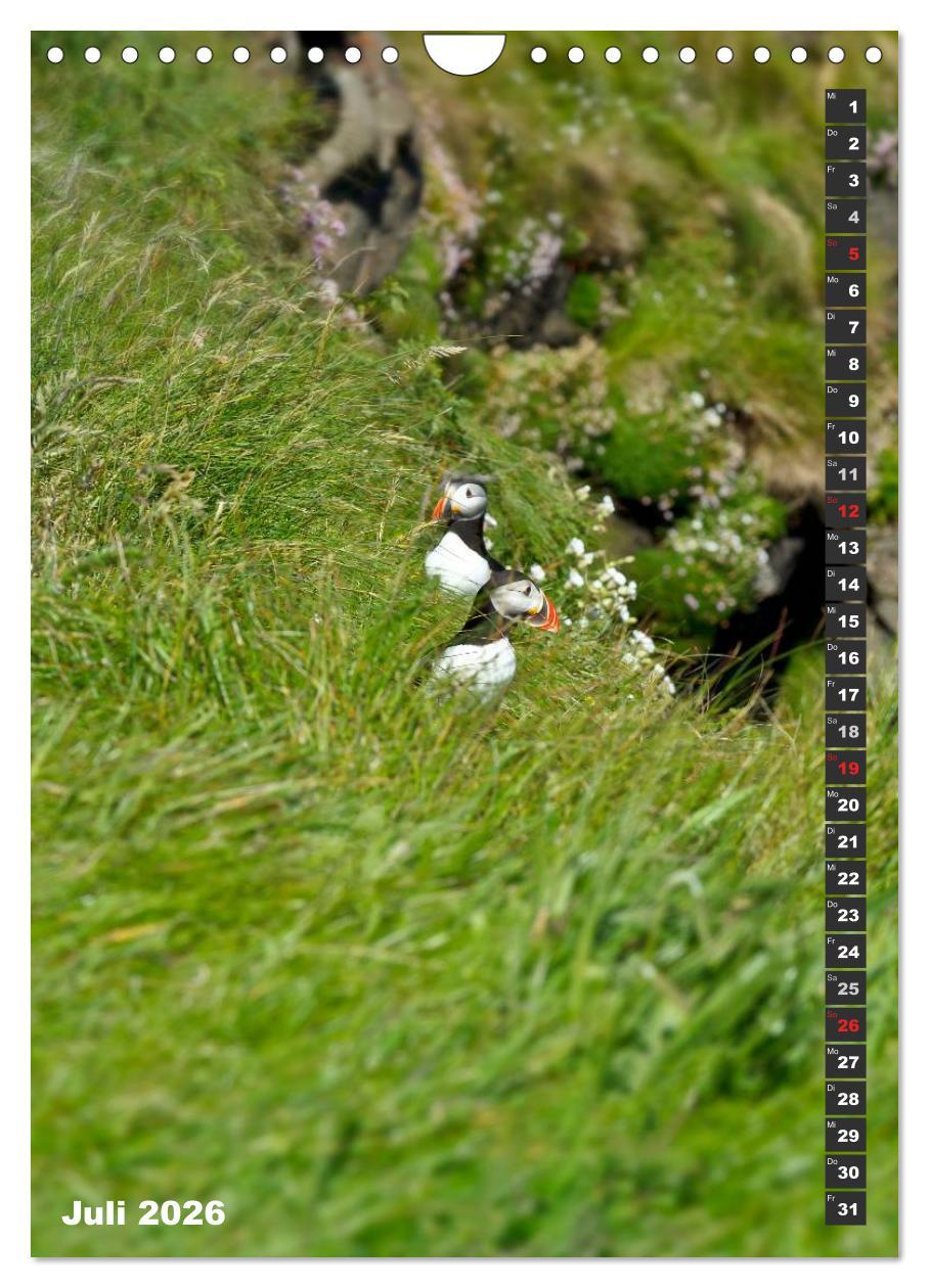 Beispielinhalt (Bild) Schottlands vielfältiger Westen (Wandkalender 2026 DIN A4 hoch), CALVENDO Monatskalender