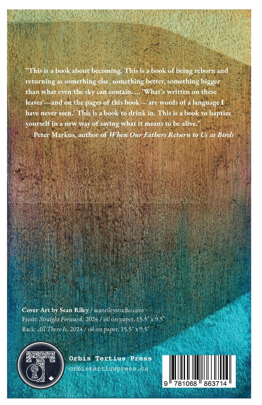 Rückseitencover What Shapes These Clouds