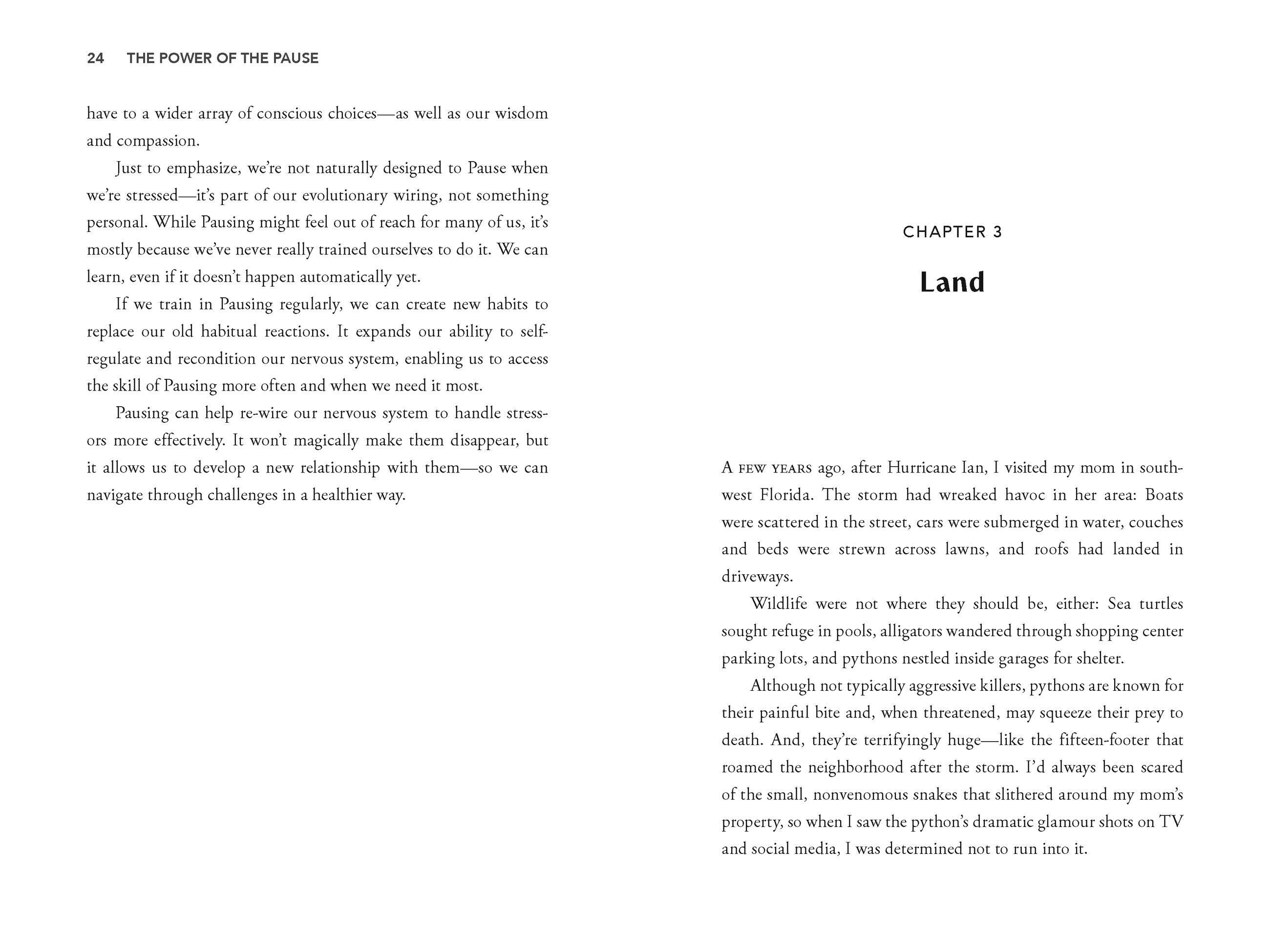 Beispielinhalt (Bild) The Power of the Pause