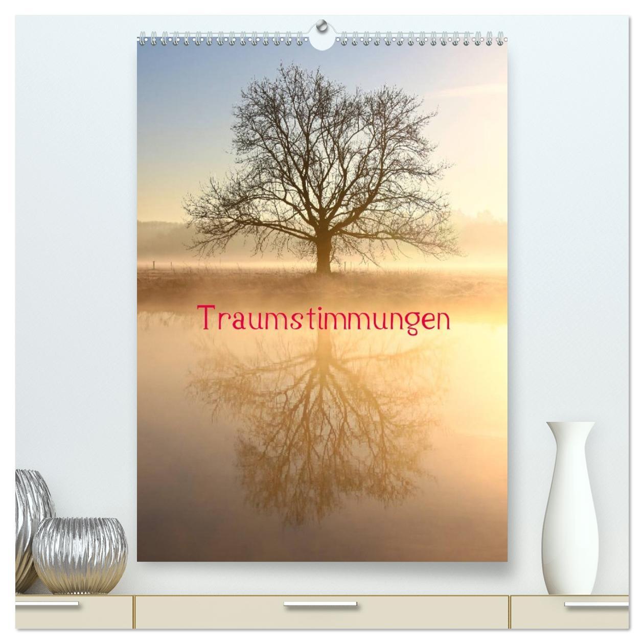 Vorderes Coverbild Traumstimmungen (hochwertiger Premium Wandkalender 2026 DIN A2 hoch), Kunstdruck in Hochglanz