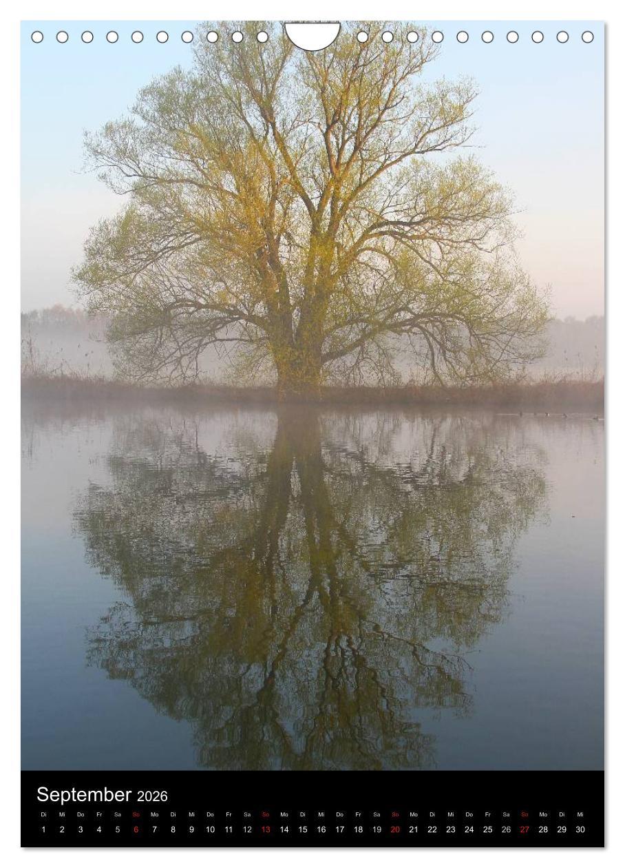 Beispielinhalt (Bild) Gespiegelte Natur (Wandkalender 2026 DIN A4 hoch), CALVENDO Monatskalender