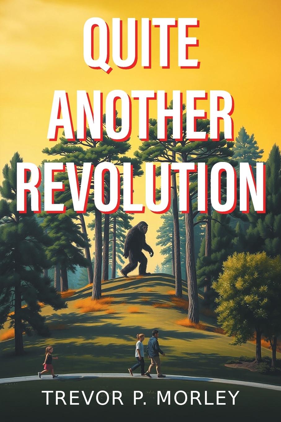 Vorderes Coverbild Quite Another Revolution