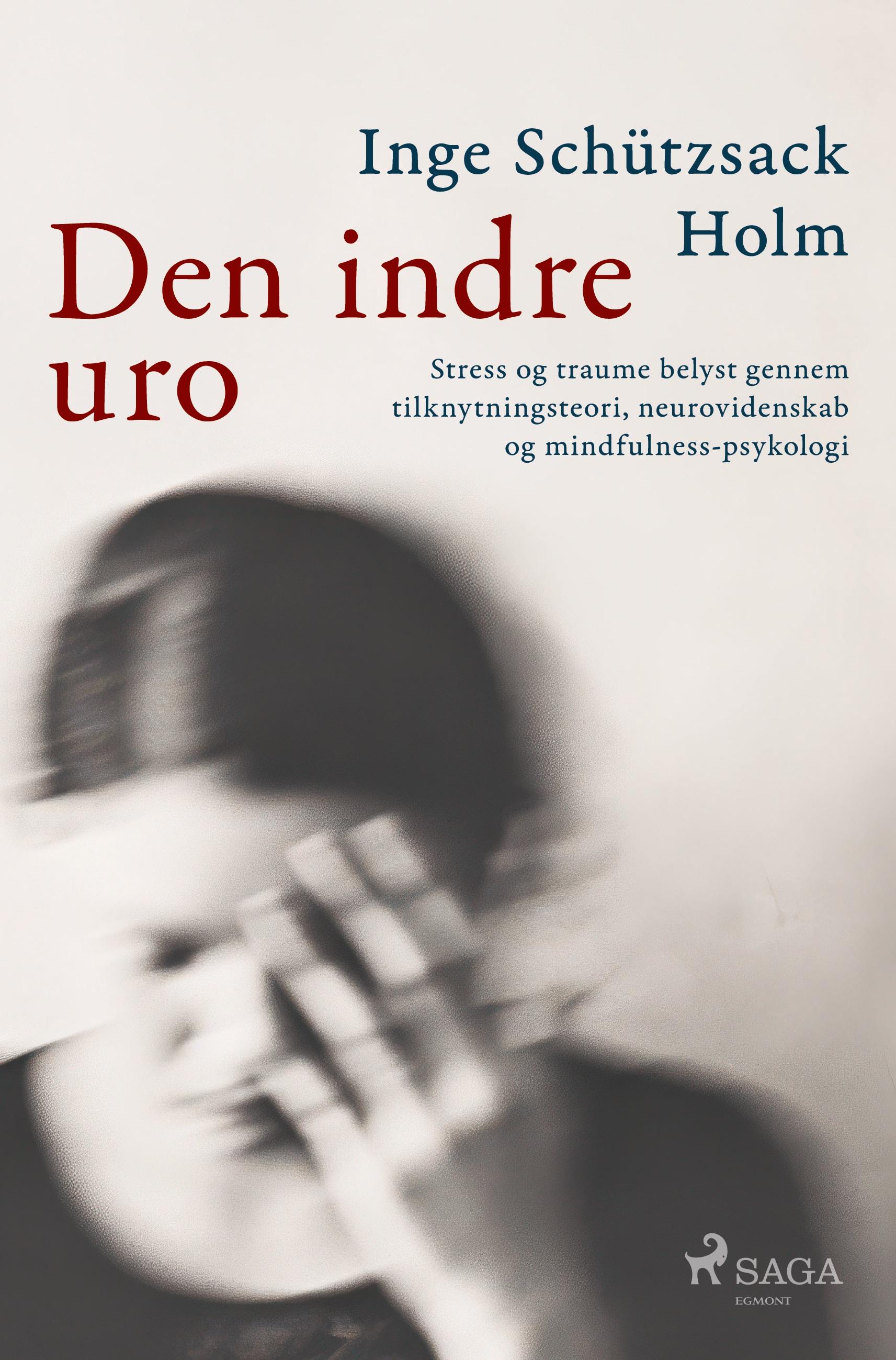 Vorderes Coverbild Den indre uro