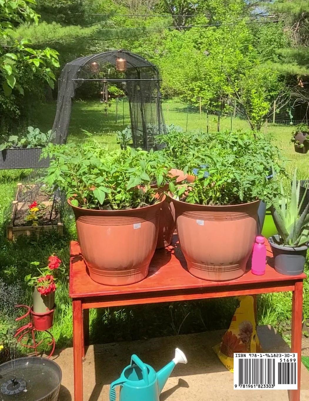 Rückseitencover Starting Your First Potted Vegetable Garden