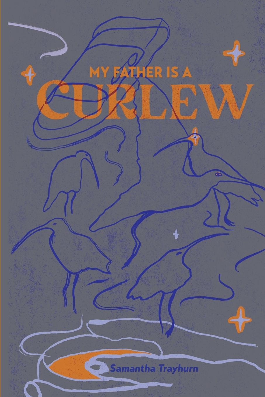 Vorderes Coverbild My Father is a Curlew