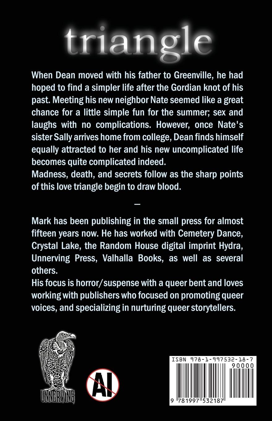 Rückseitencover triangle