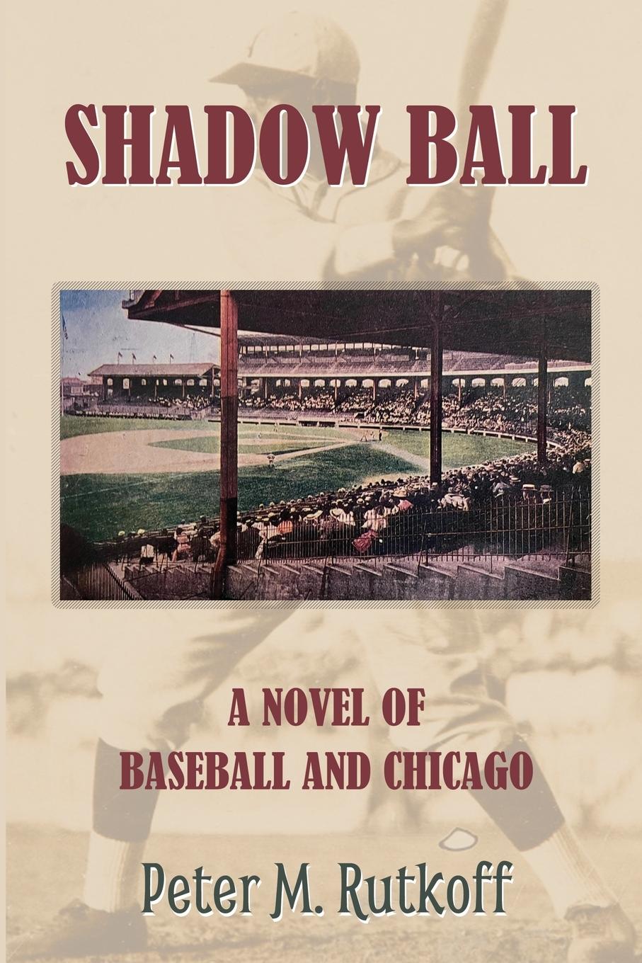 Vorderes Coverbild Shadow Ball
