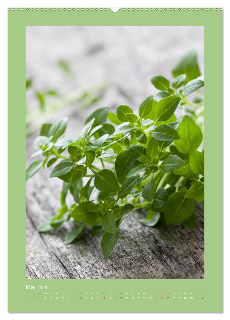 Beispielinhalt (Bild) Kräuter, Gewürze und Öl (hochwertiger Premium Wandkalender 2026 DIN A2 hoch), Kunstdruck in Hochglanz