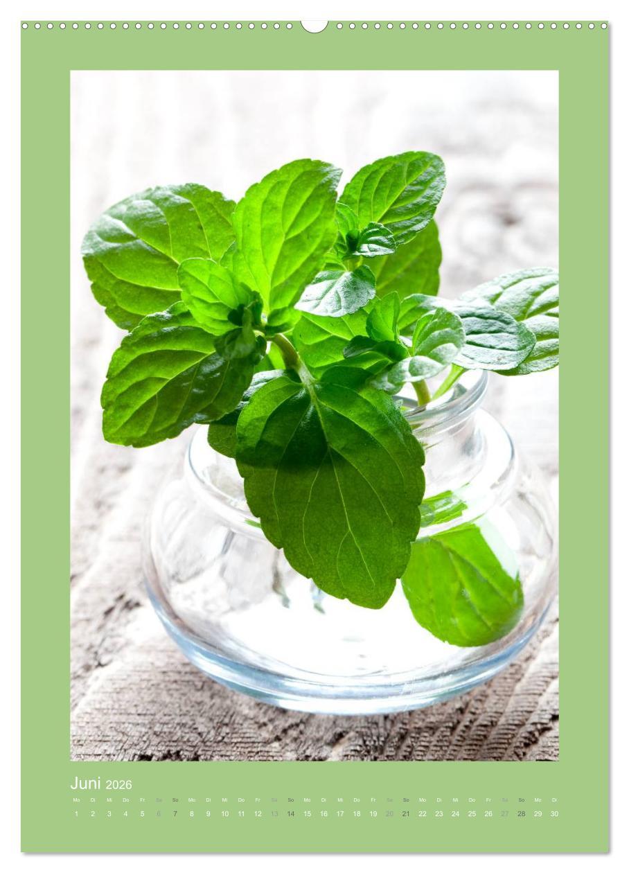 Beispielinhalt (Bild) Kräuter, Gewürze und Öl (hochwertiger Premium Wandkalender 2026 DIN A2 hoch), Kunstdruck in Hochglanz