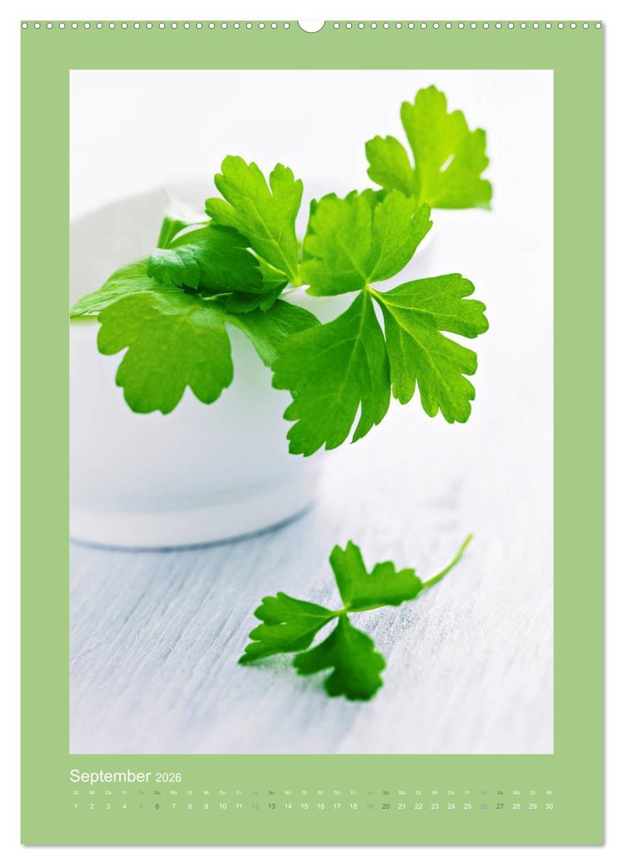 Beispielinhalt (Bild) Kräuter, Gewürze und Öl (hochwertiger Premium Wandkalender 2026 DIN A2 hoch), Kunstdruck in Hochglanz