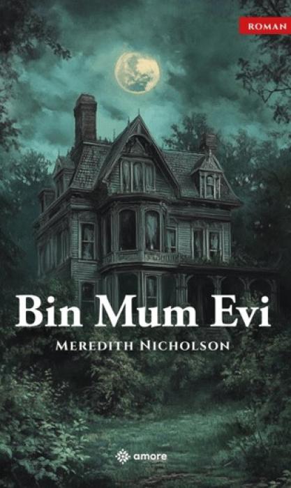Vorderes Coverbild Bin Mum Evi