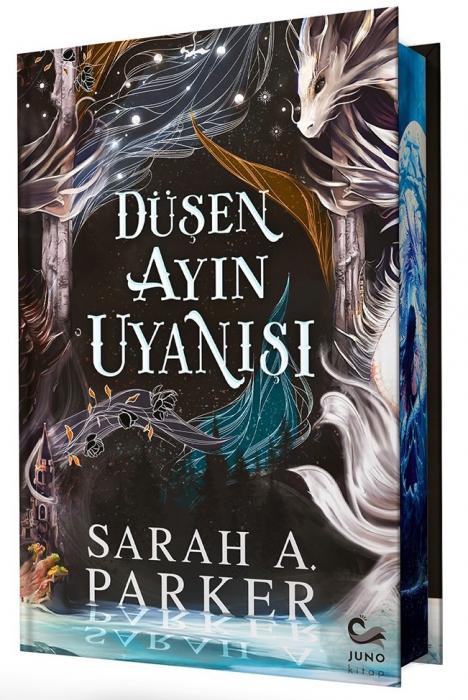 Vorderes Coverbild Düsen Ayin Uyanisi Ciltli