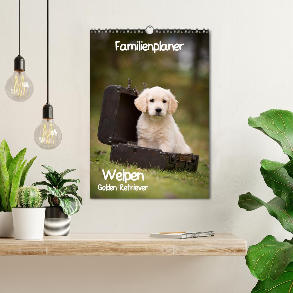 Beispielinhalt (Bild) Familienplaner: Golden Retriever Welpen (Wandkalender 2026 DIN A3 hoch), CALVENDO Monatskalender